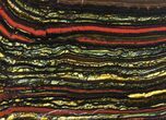 Polished Tiger Iron Stromatolite - ( Billion Years) #96222-1